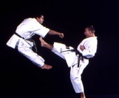 Jeux de karat et judo