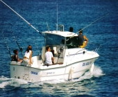 Jeux de pêche