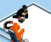 Curling avec des singes