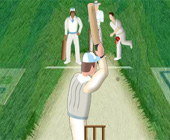 Simulation de cricket